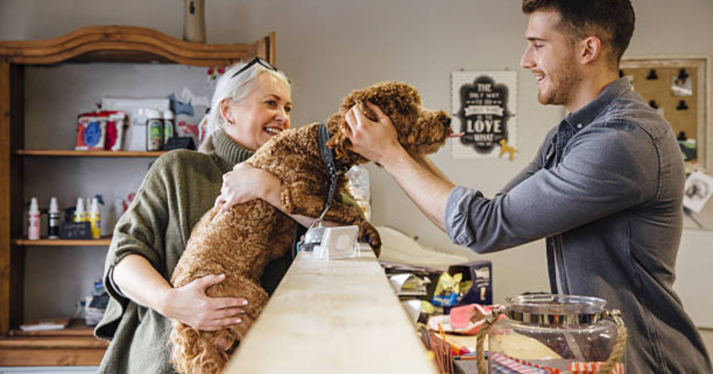 How Long Does It Take To Become A Dog Groomer